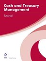 Cash and Treasury Management Tutorial - Aubrey Penning - 9781909173989