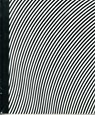 Bridget Riley: Paintings 1963-2015 - Eric de Chassey ; Frances Spalding - 9781909932265
