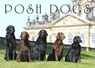 Posh Dogs - Pimpernel Press - 9781910258767