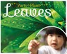 Leaves - Gemma McMullen - 9781910512524