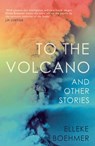 To the Volcano, and other stories - Elleke Boehmer - 9781912408245