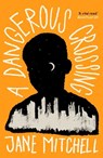 A Dangerous Crossing - Jane Mitchell - 9781912417384