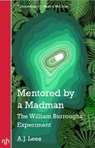 Mentored by a Madman - A.J. Lees - 9781912559121