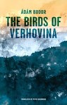 Birds of Verhovina - Adam Bodor - 9781914990038