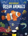 Magic Searchlight - Ocean Animals - Susie Rae - 9781917082464