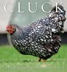 Cluck - Freya Haanen - 9781925820478