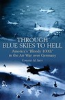 Through Blue Skies to Hell - Edward M. Sion - 9781935149965