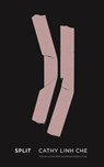 SPLIT - UNKNOWN - 9781938584053
