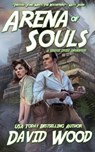 Arena of Souls: A Brock Stone Adventure - David Wood - 9781940095226
