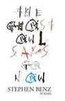 The Ghost Owl Says Go Now - Stephen Benz - 9781949540505