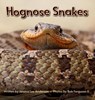 Hognose Snakes - Jessica Lee Anderson - 9781964078151