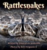 Rattlesnakes - Jessica Lee Anderson - 9781964078229