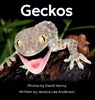 Geckos - Jessica Lee Anderson - 9781964078557