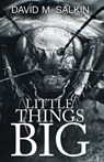 Little Things Big - David M. Salkin - 9781968532499