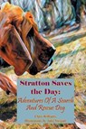 Stratton Saves the Day - Chris Williams - 9781969370014