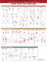 Travell, Simons & Simons’ Trigger Point Pain Patterns Wall Chart -  - 9781975183851