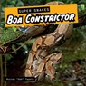 Boa Constrictor - Murray Oak Tapeta - 9781978575059