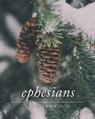 Ephesians: A Simply Bible Study - Carmen Beasley - 9781986357319