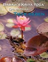 Babaji´s Kriya Yoga - Deiner Praxis Tiefe geben - Marshall Govindan ; Jan Ahlund - 9781987972108