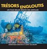 Tresors Engloutis - SERAFINI,  Dominique ; Salisbury, Cathy - 9781990238871