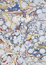 Google, volume 2 - Felix Heyes ; Ben West - 9782365680899
