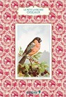 Le Petit Livre des oiseaux - Anne Jankéliowitch - 9782812309441