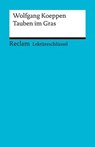 Wolfgang Koeppen: Tauben im Gras - Wolfgang Pütz ; Wolfgang Koeppen - 9783159600864