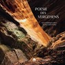 Poesie des Vergehens - Sam V. Furrer ; Wsl - 9783258083735