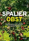 Spalierobst - Reiner Wahl - 9783258084435