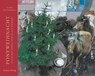 Ponyweihnacht - Gerhard Lahr ; Erwin Strittmatter - 9783351040550