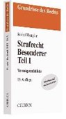 Strafrecht Besonderer Teil I - RENGIER,  Rudolf - 9783406705465