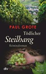 Todlicher Steilhang - Paul Grote - 9783423214643