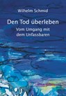 Den Tod überleben - Wilhelm Schmid - 9783458644231