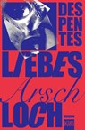 Liebes Arschloch - Virginie Despentes - 9783462007169