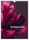 Die Königin der Rosen (Wandkalender 2026 DIN A4 hoch), CALVENDO Monatskalender -  - 9783516422771