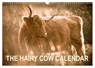 The Hairy Cow Calendar (Wall Calendar 2026 DIN A3 landscape), CALVENDO 12 Month Wall Calendar -  - 9783516571424
