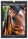 Pferdekalender - Wunderschöne Pferde in Natur und Portraits (Wandkalender 2026 DIN A4 hoch), CALVENDO Monatskalender -  - 9783516670233