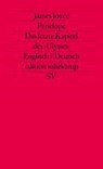 Penelope. Das letzte Kapitel des Ulysses (Übers. Wollschläger) - James Joyce - 9783518111062