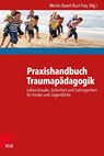 Praxishandbuch Traumapadagogik - Martin Baierl ; Kurt Frey - 9783525402450