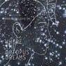 Where the Octopus Dreams - Ankalina Dahlem - 9783565375561