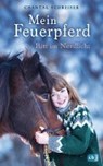 Mein Feuerpferd - Ritt im Nordlicht - SCHREIBER,  Chantal - 9783570175941