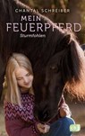 Mein Feuerpferd - Sturmfohlen - Chantal Schreiber - 9783570179024