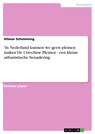 'In Nederland kunnen we geen pleinen maken'De Utrechtse Pleinen - een kleine urbanistische benadering - Hilmar Schimming - 9783638403153