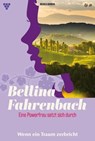 Wenn ein Traum zerbricht - Michaela Dornberg - 9783690497817