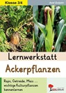 Lernwerkstatt Ackerpflanzen - Axel Gutjahr - 9783692575117