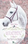 Wolkenherz - Eine Fährte im Sturm - Sabine Giebken - 9783734854118
