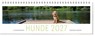 Tischkalender Hunde 2027 -  - 9783747207840