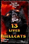 13 Lives of Hellcats - Faye Hell ; M.H. Steinmetz ; Andreas Gruber ; Markus Kastenholz - 9783755422969