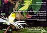 Aha; so also gelingt ein Bio-Filter Hydrokultur im 3D-Aquarium. Imposante 3D Aquaristik - Dieter Mende - 9783755766759