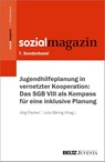 Jugendhilfeplanung in vernetzter Kooperation: Das SGB VIII als Kompass für eine inklusive Planung - Jörg Fischer ; Julia Bäring - 9783779992073
